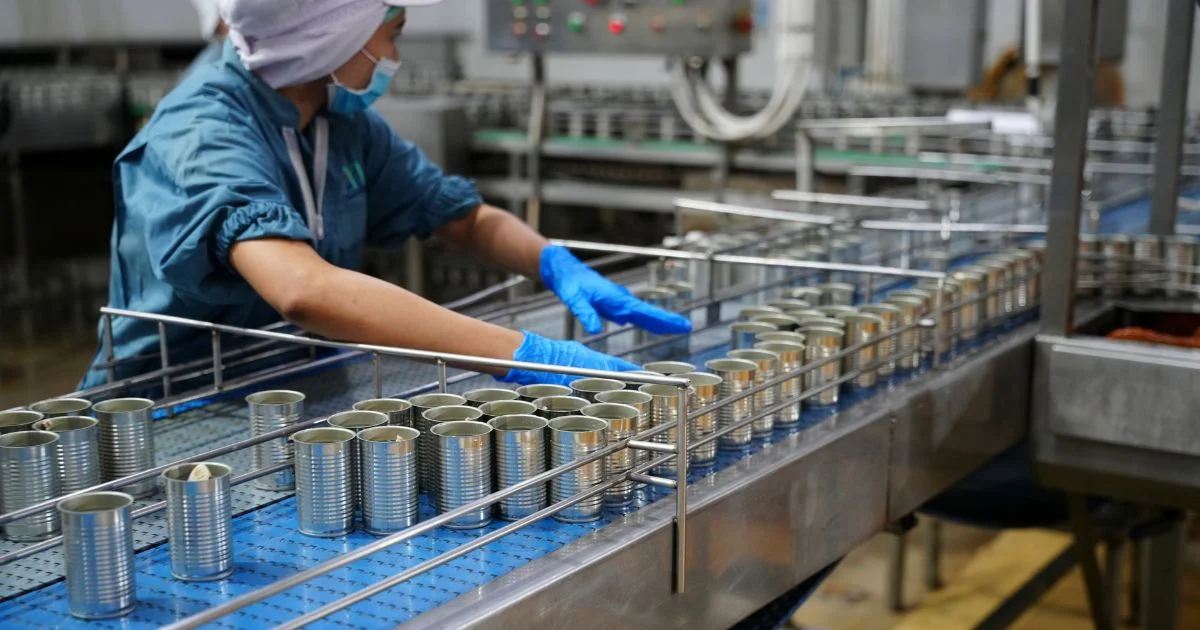 Worker organizing empty cans on automated production conveyor system.